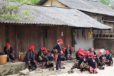 Desde Hanoi: excursión de dos días a Sapa, senderismo y pueblos étnicos
