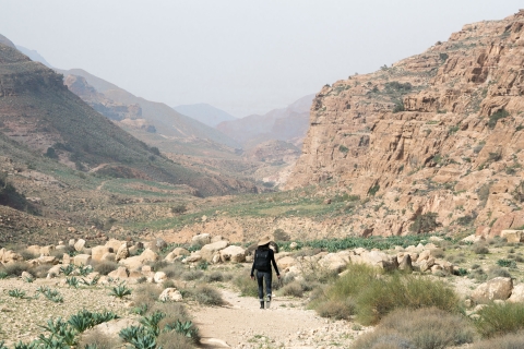 Excursion d'une journée à la réserve naturelle de Dana et au château d'Al-KarakExcursion d'une journée dans la réserve de Dana et au château d'Al-Karak