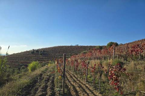 Berat: Private Sunset Tour with Wine and Fruits