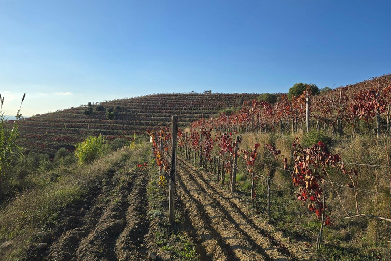 Berat: Private Sunset Tour with Wine and Fruits