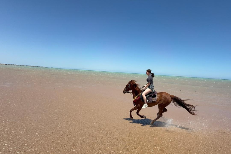 Hurghada: Horse Riding in the Desert & Beach Experience 1 HR Desert Horse Riding Experience without transfer
