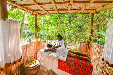 Kibale National Park Chimpanzee Trekking, Culture, Farm tour