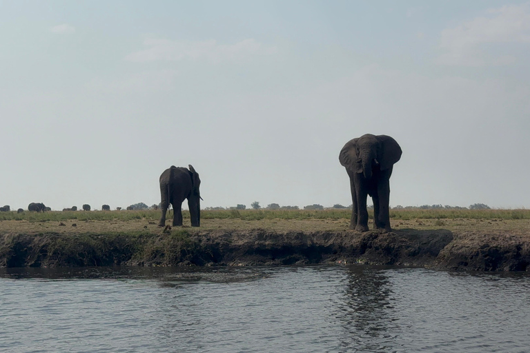 Livingstone: Chobe River Premium Photo Cruise
