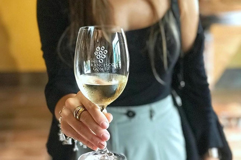 Mediterranean gastronomic experience: Taste traditional wines and tapas in Alicante