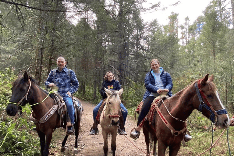 Tournée des papillons monarques au Mexique : Sierra Chincua et AngangueoPetit groupe