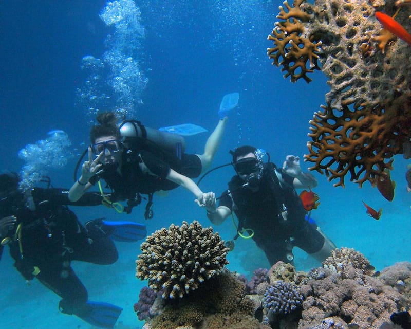 Panglao Bohol: Try Scuba Diving at Napaling and Sardines Panglao Bohol: Try Scuba Diving at Napaling and Sardines