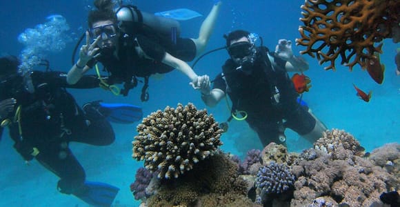 Panglao Bohol: Try Scuba Diving at Napaling with Sardines