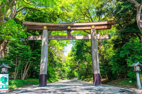 From Tokyo: Tokyo City One-Day Private Tour with Guide