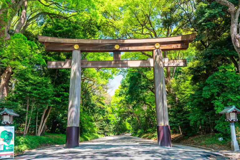 From Tokyo: Tokyo City One-Day Private Tour with Guide