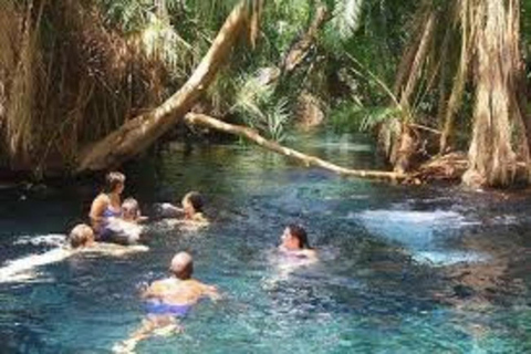 Moshi: Chemka Hot Springs Tagestour mit Mittagessen