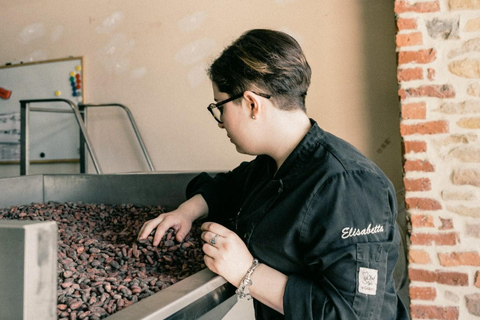 Visit of a real Bean-to-Bar chocolate factory in Brussels