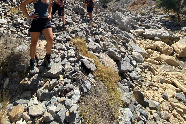 Creta: Excursión Guiada de Senderismo por la Meseta de Lassithi