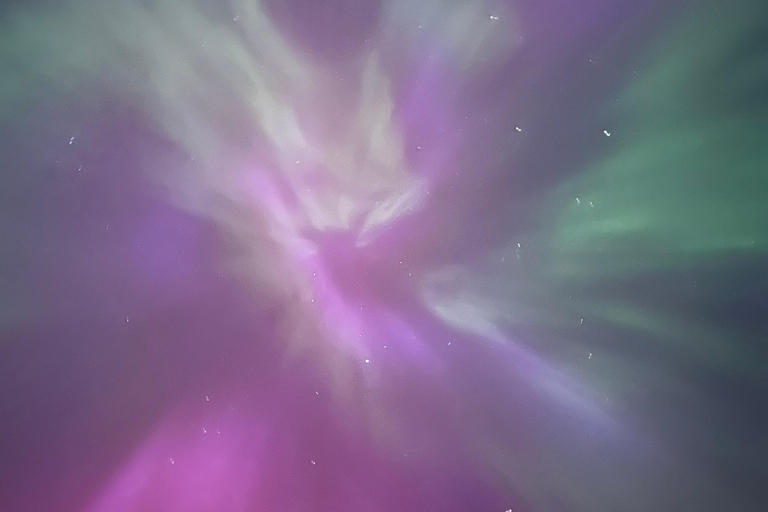 Banff Night Sky: Northern Lights and/or Stargazing Tour