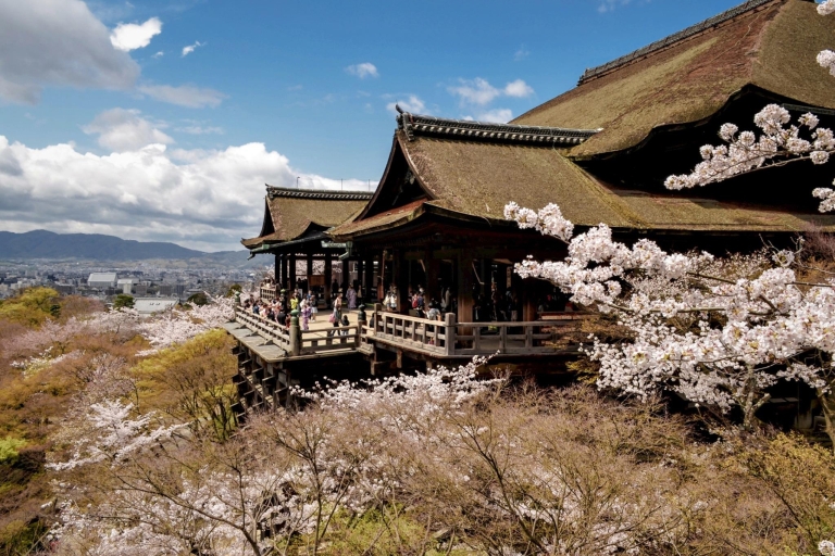 Kioto: Najważniejsze atrakcje: całodniowa wycieczkaTransport wyłącznie autobusem, bez lunchu i biletów wstępu