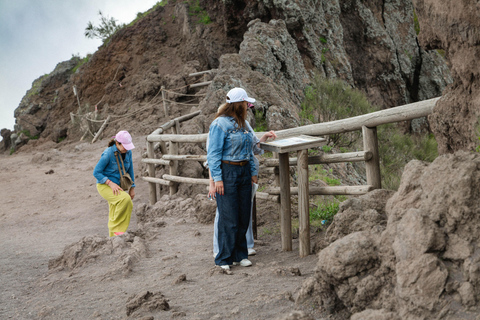 Mount Vesuvius Excursion: Skip-the-Line Ticket and Digital Guide From Naples: Bus, Skip-the-Line Ticket and Digital Guide