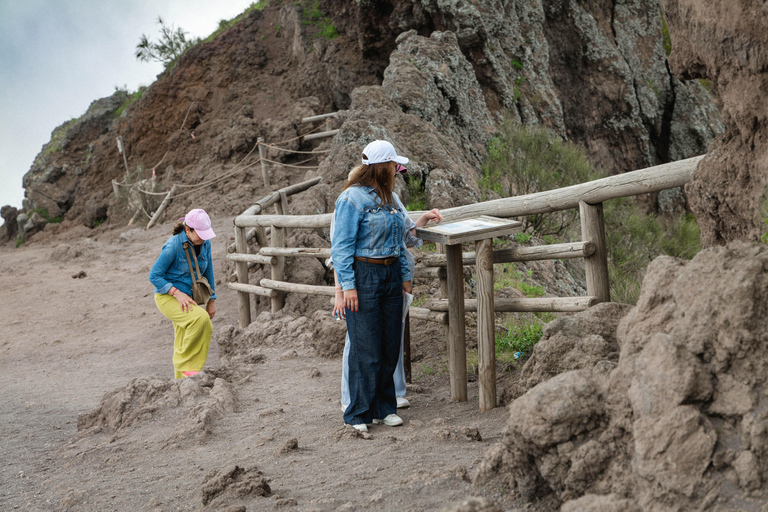 Mount Vesuvius Excursion: Skip-the-Line Ticket and Digital Guide From Naples: Bus, Skip-the-Line Ticket and Digital Guide