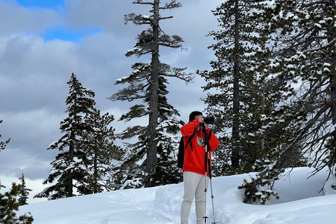 Schneeschuhwandern an der Spitze der Sea to Sky Gondel