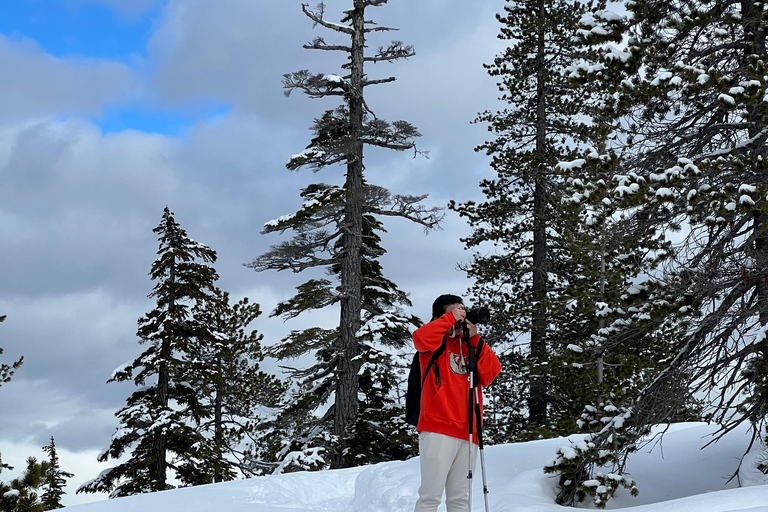 Schneeschuhwandern an der Spitze der Sea to Sky Gondel