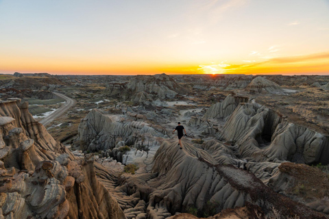 Banff : Visite privée des Badlands avec le musée Royal Tyrrell