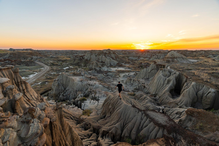Banff : Visite privée des Badlands avec le musée Royal Tyrrell