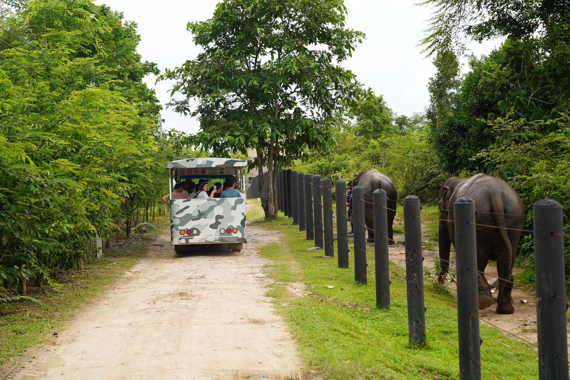 Hua Hin: Tagestour zur WFFT-Auffangstation für Wildtiere mit Mittagessen