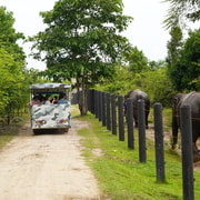 Hua Hin: WFFT Wildlife Rescue Centre Day Trip with Lunch