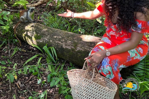 Wycieczka z delfinami Mnemba, las Jozani i restauracja The RockMiejsce zbiórki wyłącznie w Mnemba Transfer Point