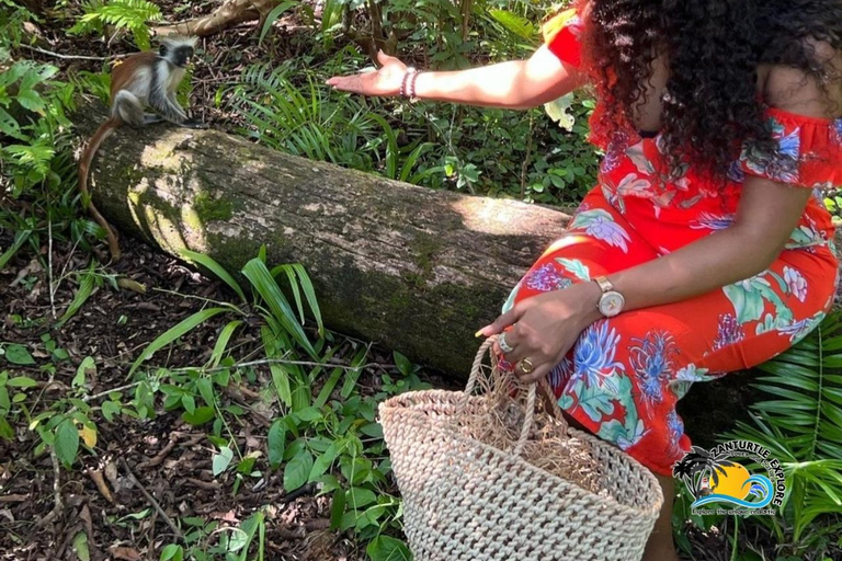 Wycieczka z delfinami Mnemba, las Jozani i restauracja The RockMiejsce zbiórki wyłącznie w Mnemba Transfer Point