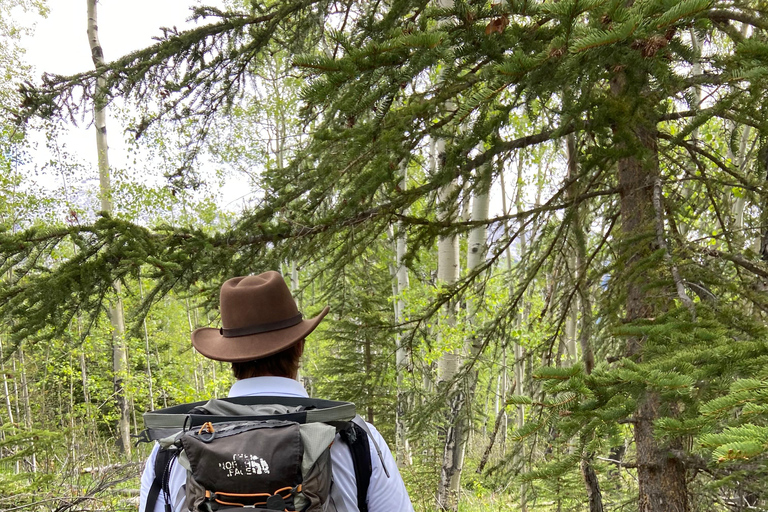 Privat rundtur - Det bästa av Banff National Park