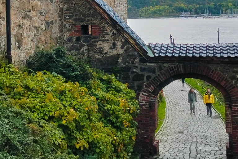 奥斯陆历史风味：美食、火焰和峡湾景观Oslo’s Taste of History – Flames, Food &amp; Fjord Views