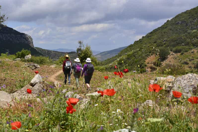 Chefchaouen : randonnée de deux jours dans le Rif et nuit au village - trekking