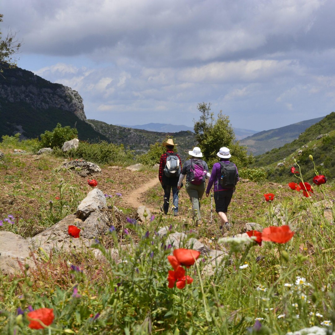 Chefchaouen : randonnée de deux jours dans le Rif et nuit au village