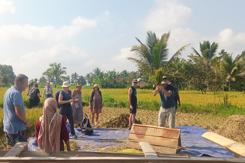 特特巴图：瀑布、香料、梯田、猴子森林特特巴图之旅、香料、瀑布、梯田、猴林