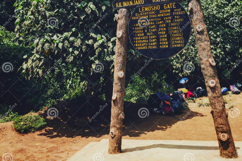 Parque Nacional do Kilimanjaro - 8 dias na Rota de Lemosho