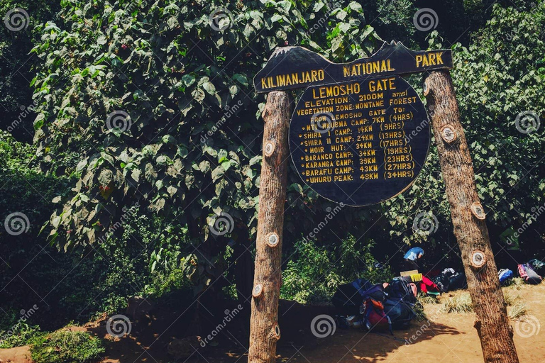 Kilimanjaro Nationaal Park - 8-daagse Lemosho Route