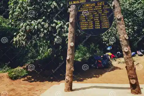 Parque Nacional do Kilimanjaro - 8 dias na Rota de Lemosho