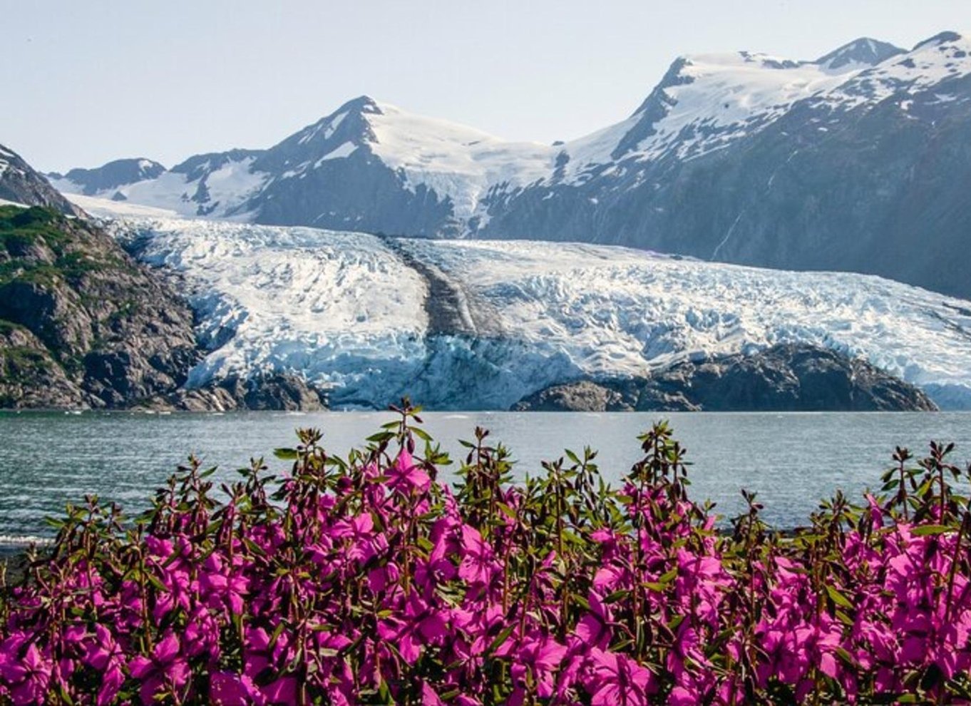 Glacier View & Wildlife Anchorage Eventyrtur