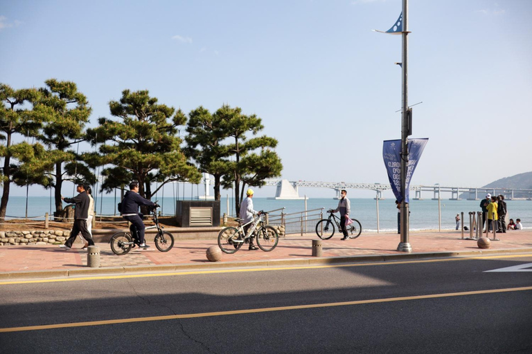 Kirschblüten-Tour am Strand von Busan