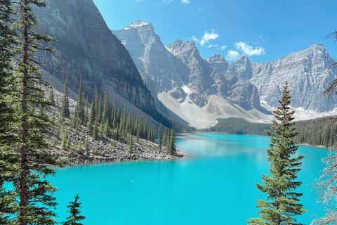 Private Day Tour - Lake Moraine,Louise,Peyto+Johnston Canyon private mini bus 14