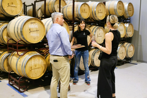 Ribera del Duero wine region private tour Ribera del Duero Private Wine Tour