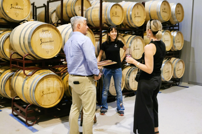 Ribera del Duero wine region private tour Ribera del Duero Private Wine Tour