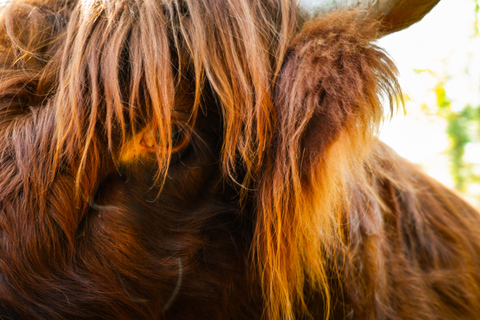 Capture Your Scottish Adventure – Professional Photography