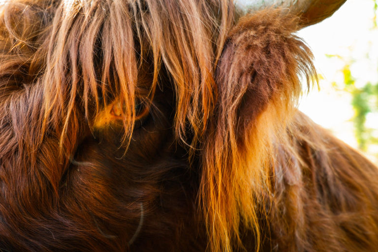 Capture Your Scottish Adventure – Professional Photography