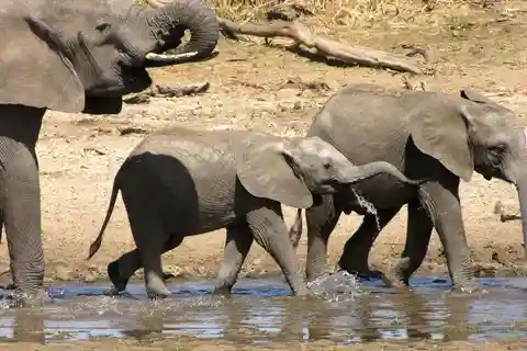 3 giorni e 2 notti da Dar-es-Salaam al Parco Nazionale di Mikumi