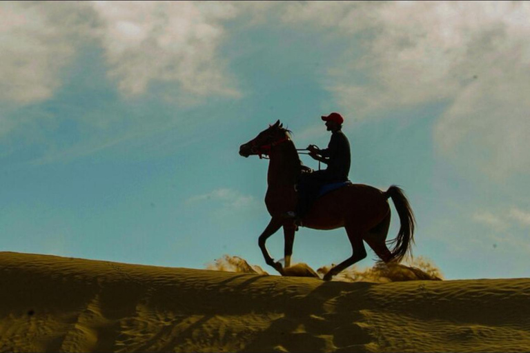 الدوحة: ركوب الخيل العربي في صحراء قطر مع النقل