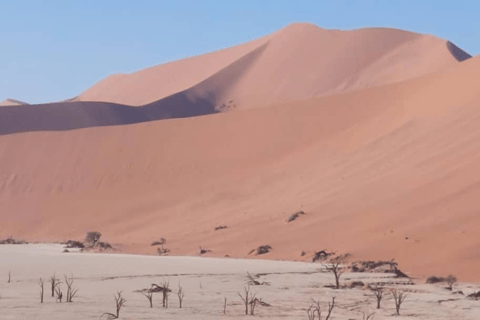 From Swakopmund: Budget Sossusvlei Guided 2-Day Trip