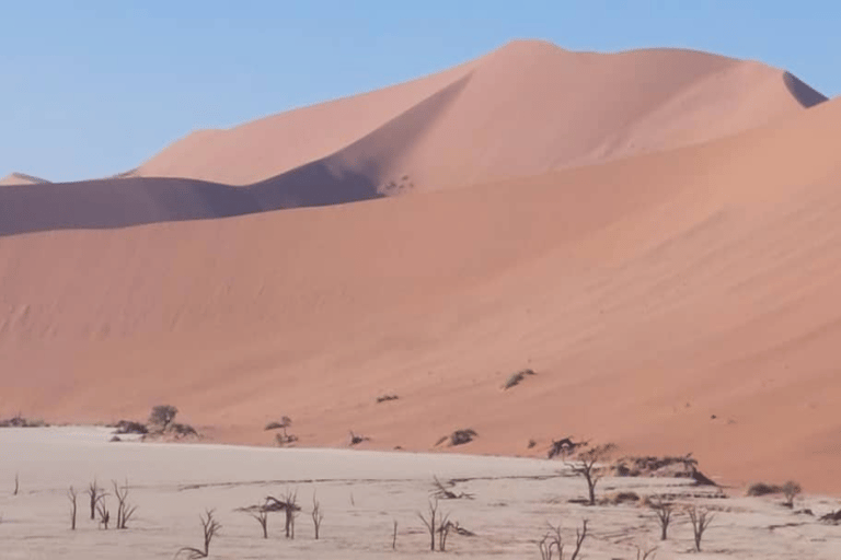 From Swakopmund: Budget Sossusvlei Guided 2-Day Trip