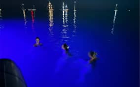 - PalermoHotel.it