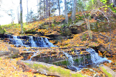 Descubre Estonia - excursión en coche a la ciénaga de Viru y a las cascadas.