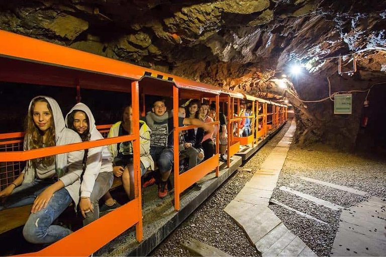 Wrocław: Private Tour to Gold Mine, Książ Castle & Arboretum Wrocław: Private Tour to Gold Mine & Książ Castle